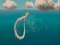 spirited-away.html