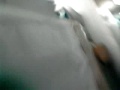 Susto do Gato maudito #1