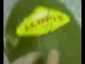 Destrozando el melon!!! Destrozando el melon!!!