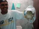 Fortaleza FROG