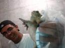 Fortaleza FROG