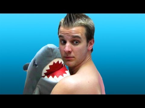 shark