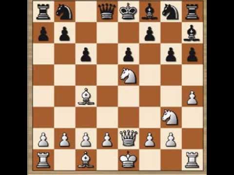 checkmate checkmate
