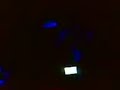 www.cankan.net