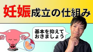 1.【基本】妊娠の仕組み、ご存知ですか？