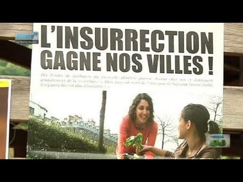 Hebdo DD : Le développement durable en Alsace (23/05/13)