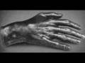 Arthur Rubinstein - Chopin Waltz Op.64 no.2 in C-Sharp Minor