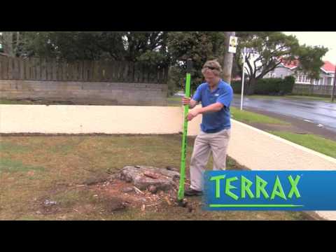 how to remove tree roots