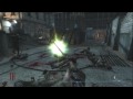 First Der Riese Glitch & Dog Barrier