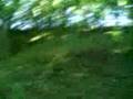 videos de clement