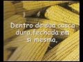 Pipoca ou Piru�? O que Voc� Prefere Ser? Texto de Rubem Alves