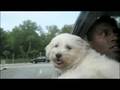 videos de Doggie's Happy day
