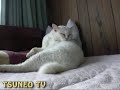 びっくりラッキー♪