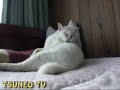 びっくりラッキー♪