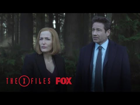 Mulder & Scully Investigate The Playground | Season 11 Ep. 8 | THE X-FILES
