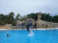 Loro Parque Loro Parque