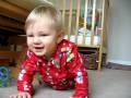 happy crawl