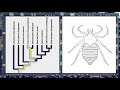 Each feature of the living species at the tips of a phylogenetic tree can be mapped onto the tree to determine where evolutionary changes likely occurred. Then, at each branching point (or internal node), the features can be blended together to form am overall picture of what the ancestral species may have looked like. In this video from the Peabody Museums Travels in the Great Tree of Life exhibit, the left hand side of the animation shows a phylogenetic tree of selected arachnids (spiders ...