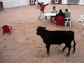 La Cogida Del NOrberTo. PriMMOOOOO!!!