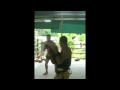 Pad Training with Kru Yod @ Tiger Muay Thai&MMA Training Camp, Phuket, Thailand