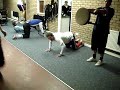 trainingfive.MPG