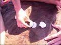 vidoviti Njuso