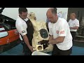 Gulf AMR Middle East - Fuel Cell Analysis at Sebring
