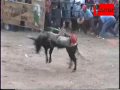LOS DESTRUCTORES EN LAS FIESTAS DE COINTZIO