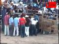 LOS DESTRUCTORES EN LAS FIESTAS DE COINTZIO