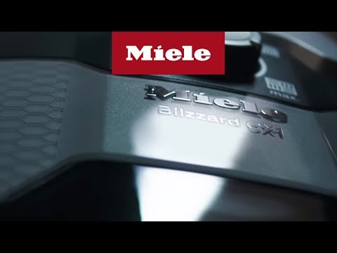 / 20/ Bolsas para aspiradoras Miele Parkett /& Co Mega Pack/ 4000/ Aspiradora//dustwave/® Marca Bolsa para el polvo//Fabricado en Alemania Incluye Micro filtro