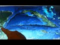 an investigative look into the evidence of the number 21 around the world and prince williams role in the end times. i do not know any dates. we look at the ...