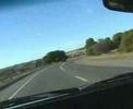 Aussie Thoroughbred Torana Aussie Thoroughbred Torana
