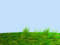 Animated Grass in Blender 3D