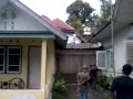 sapi kabur sampai ke atas atap di koto gadang