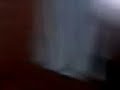 mi primito cantando  =  