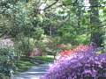 Ashville NC & Great Smokey Mountain Trip 2009
