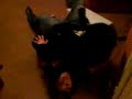 Mel and candy having a playfight