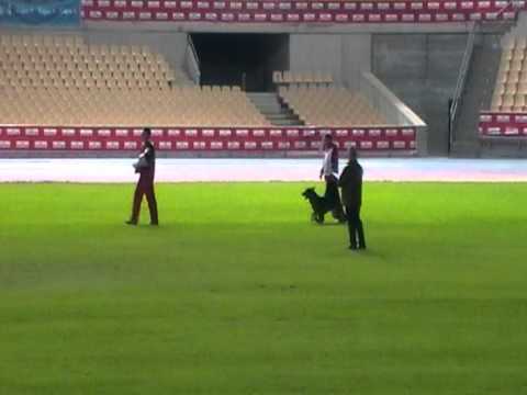WUSV 2010 - C|-