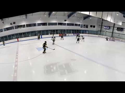 46 Shots - 42 saves vs Oakland Jr. Grizzlies (.913 SV%) 4-2 Loss