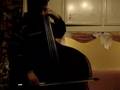 イタリア　The elephant contrabasso