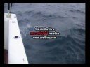 San Jose B2.wmv San Jose B2.wmv