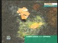 Yanukovych gets hit with an egg in Ivano-Frankivsk, Ukraine Yanukovych gets hit with an egg in Ivano-Frankivsk, Ukraine