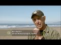 science of big waves   kqed quest