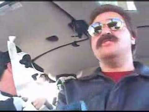 Cows on a Helicopter