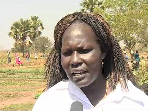 how to provide food security