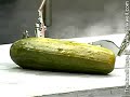 Chemistry in Action: The Electric Pickle