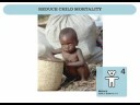 The Millennium Development Goals