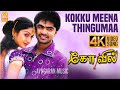 Download Kokku Meena Thingumaa 4k Video Song கொக்கு மீன திங்குமா Kovil Str Sonia Harris Jayaraj Mp3 Song