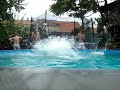 Lustiges Sommer-Video