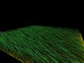 Grass Animation in Renderman